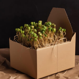 Microgreens Subscription
